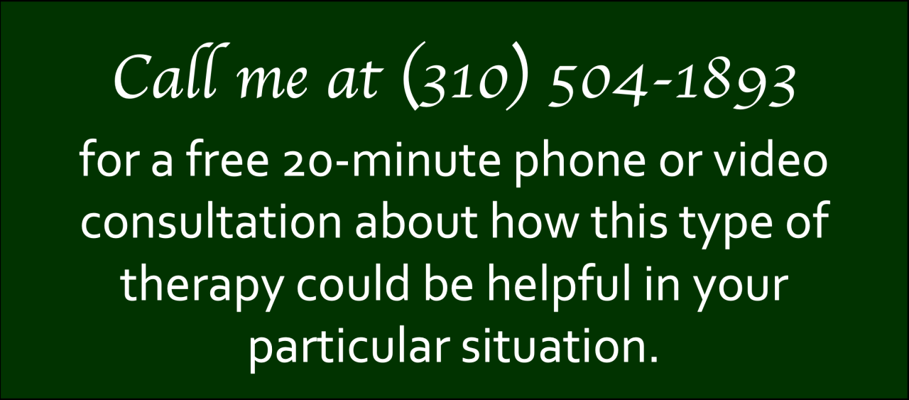 (310) 504-1893
Free 20-minute phone or video consultation